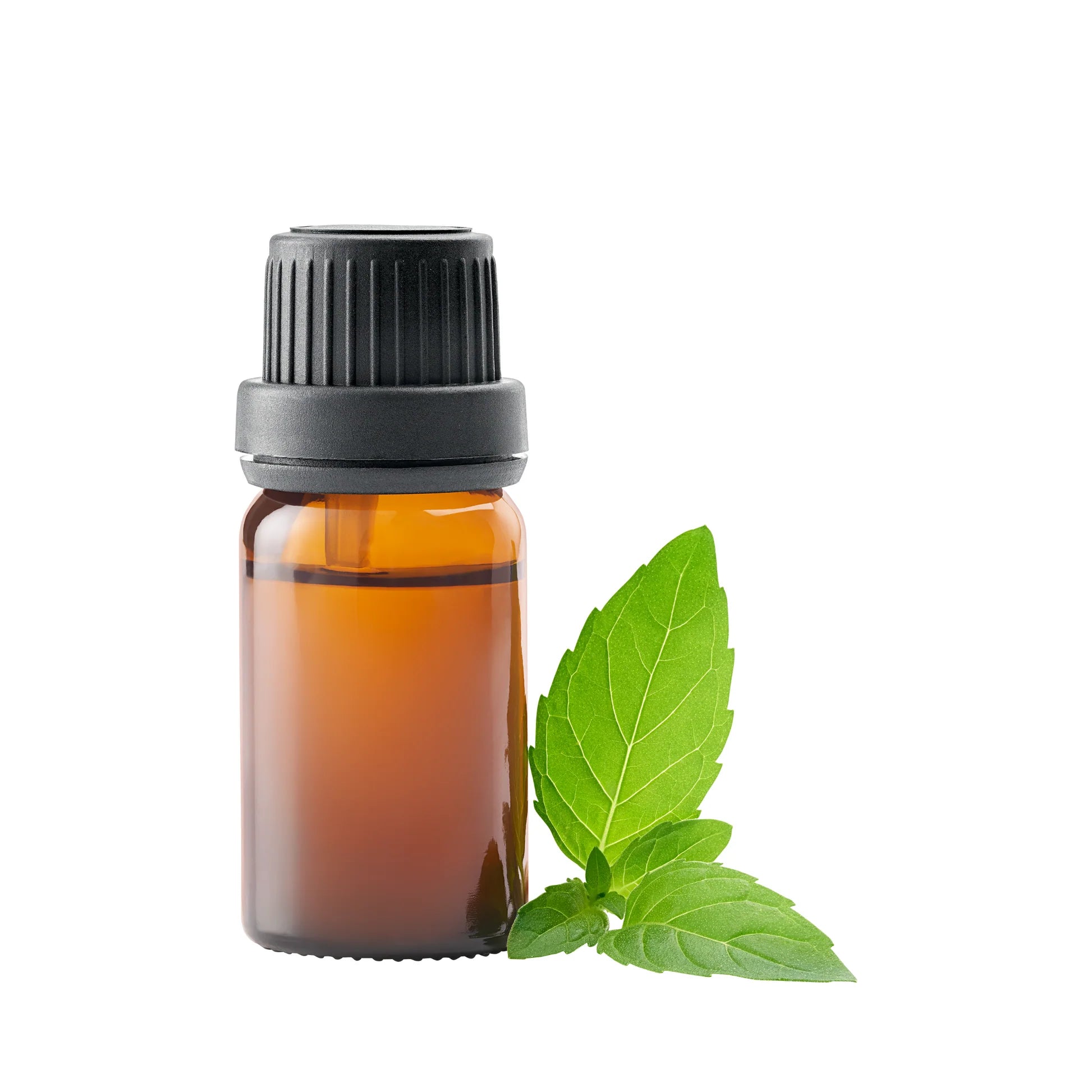 <b>Peppermint Essential Oil</b>