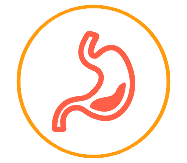 Digestive Bypass