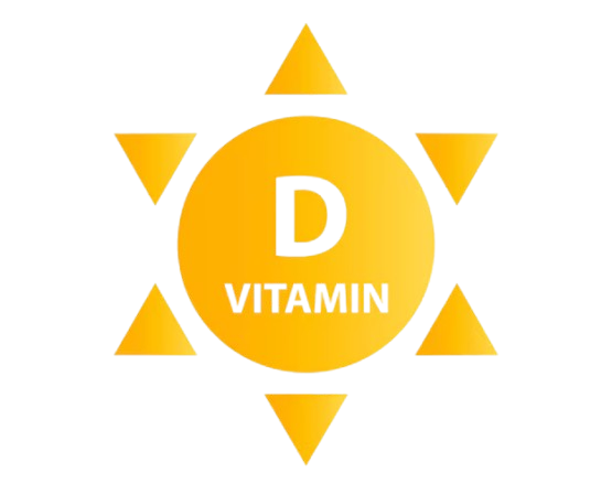 <b>Vitamin D</b>